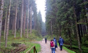 Curiosità sulla montagna