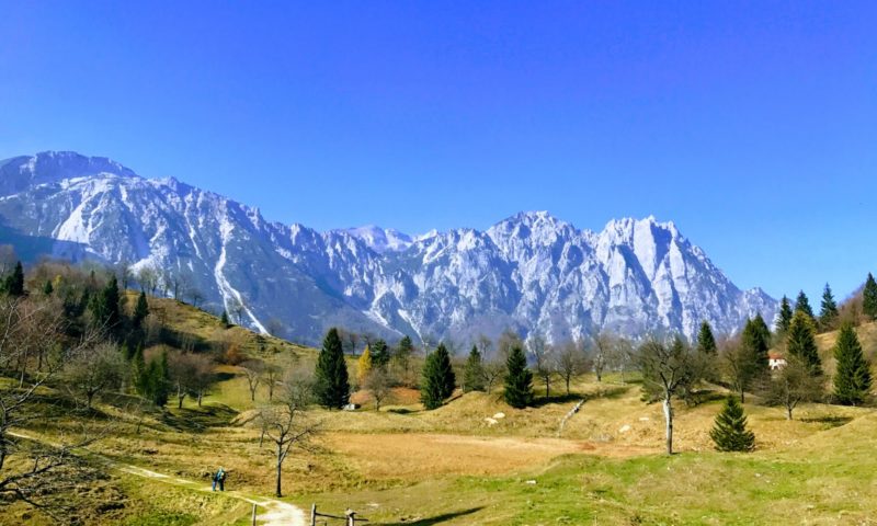 Sentiero dei Grandi Alberi: cos’è e come si affronta al meglio