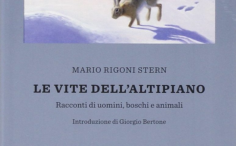 Libri da leggere sulla montagna: ecco quali non devi perdere