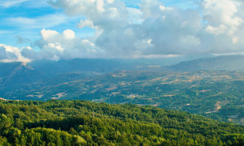 Parco Nazionale del Pollino: ecco i faggi più antichi d’Europa