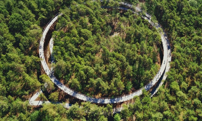 Pista ciclabile sopraelevata: una bella novità per la mountain bike