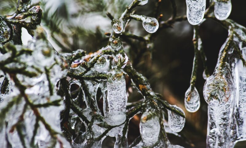 I rischi del riscaldamento del clima in montagna per tutti