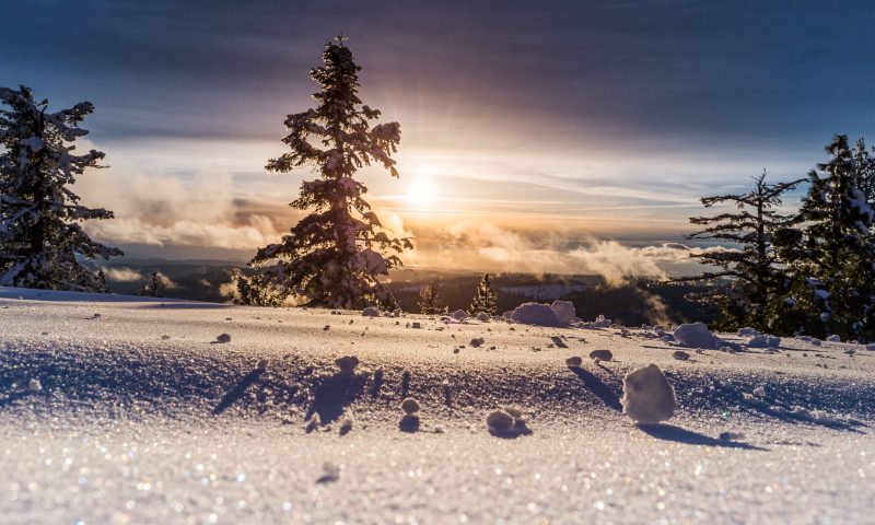 Trekking sulla neve: tutto quello che c’è da sapere sul tema